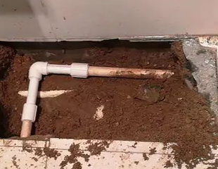 乾县测漏水哪家好