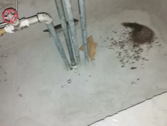 乾县卫生间测漏水价格明细