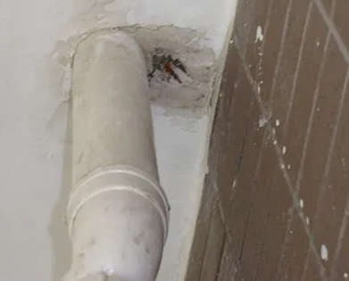 乾县漏水检测哪家好